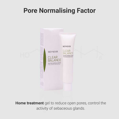 Pore Normalising Factor